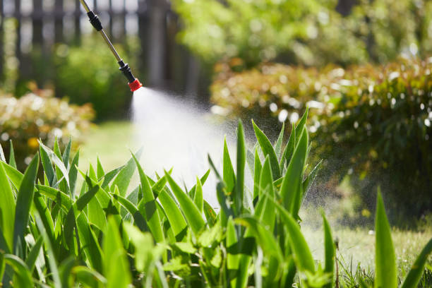 24/7 Emergency Mosquito Control experts in Anthony, KS